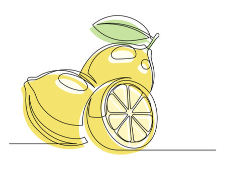 Continuous one line whole and halves yellow lemons with leaf isolated on white background. Simple citrus silhouette. Hand drawn lemon outline. Vector illustrationのイラスト素材