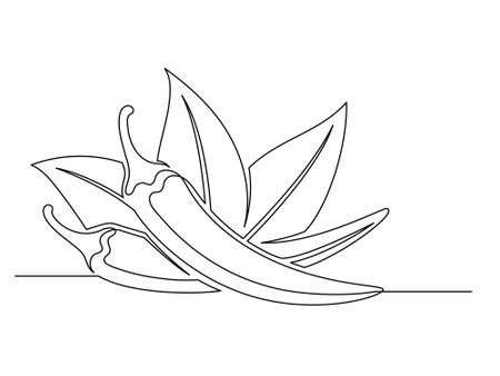 Continuous one line chili peppers with leaves isolated on white background. Simple vegetable silhouette. Hand drawn chili peppers outline. Vector illustrationのイラスト素材