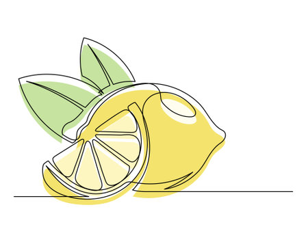 Continuous one line whole and halves yellow lemons with leaf isolated on white background. Simple citrus silhouette. Hand drawn lemon outline. Vector illustrationのイラスト素材