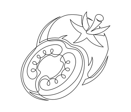 Whole and halves tomato contour line isolated on white background. Simple vegetable silhouette. Hand drawn tomatoes outline. Vector illustrationのイラスト素材