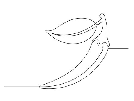 Continuous one line chili pepper with leaf isolated on white background. Simple vegetable silhouette. Hand drawn chili pepper outline. Vector illustrationのイラスト素材