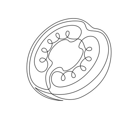 Tomato halves contour line isolated on white background. Simple vegetable silhouette. Hand drawn tomato outline. Vector illustrationのイラスト素材