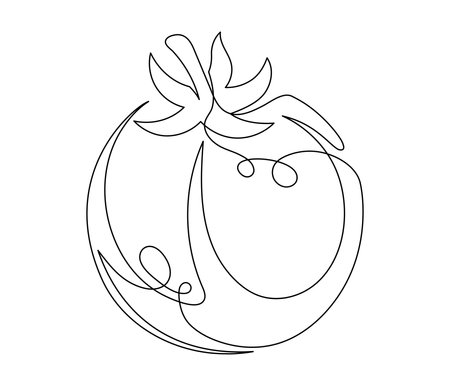 Tomato contour line isolated on white background. Simple vegetable silhouette. Hand drawn tomato outline. Vector illustrationのイラスト素材
