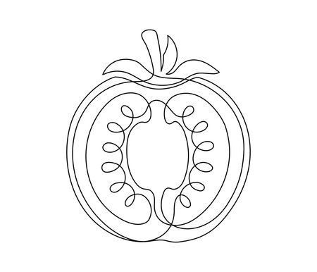 Tomato halves contour line isolated on white background. Simple vegetable silhouette. Hand drawn tomato outline. Vector illustrationのイラスト素材