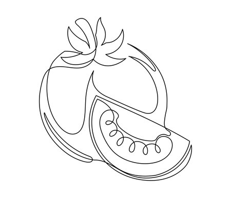 Whole and halves tomato contour line isolated on white background. Simple vegetable silhouette. Hand drawn tomatoes outline. Vector illustrationのイラスト素材