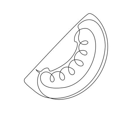 Tomato slice contour line isolated on white background. Simple vegetable silhouette. Hand drawn tomato outline. Vector illustrationのイラスト素材