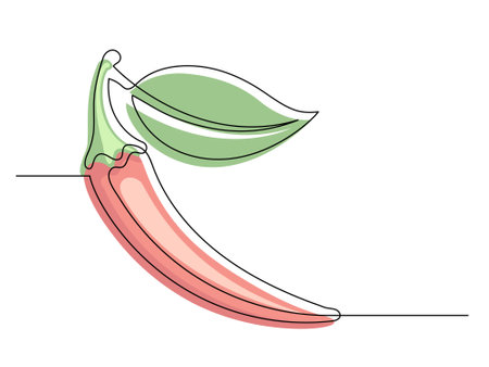 Continuous one line red chili pepper with leaf isolated on white background. Simple vegetable silhouette. Hand drawn chili pepper outline. Vector illustrationのイラスト素材