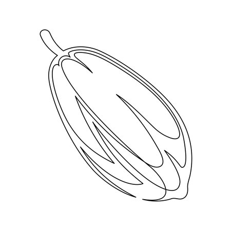 Cacao beans plant line isolated on white background. Simple silhouette of vegetable. Hand drawn cocoa beans plant outline. Vector illustrationのイラスト素材