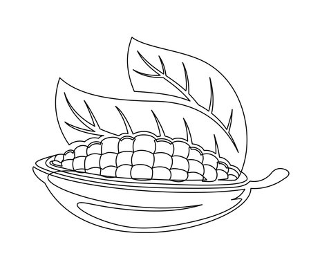 Cacao beans branch with leaves line isolated on white background. Simple silhouette of vegetable. Hand drawn cocoa beans branch outline. Vector illustrationのイラスト素材