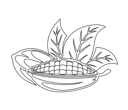 Cacao beans branch with leaves line isolated on white background. Simple silhouette of vegetable. Hand drawn cocoa beans branch outline. Vector illustrationのイラスト素材