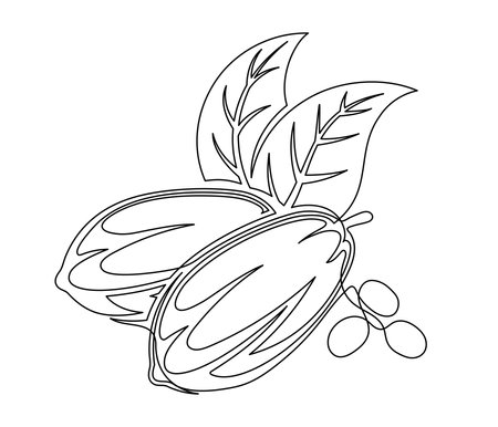 Cacao beans branch with leaves line isolated on white background. Simple silhouette of vegetable. Hand drawn cocoa beans branch outline. Vector illustrationのイラスト素材