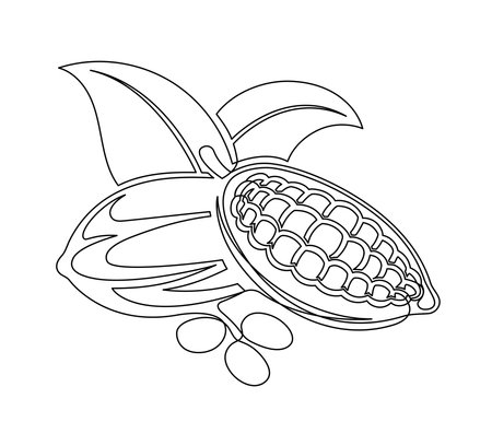 Cacao beans branch with leaves line isolated on white background. Simple silhouette of vegetable. Hand drawn cocoa beans branch outline. Vector illustrationのイラスト素材