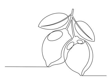 Continuous one line lemons with leaf isolated on white background. Simple citrus silhouette. Hand drawn lemon outline. Vector illustrationのイラスト素材