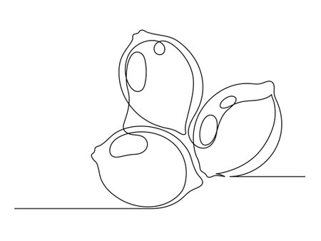 Continuous one line several lemons isolated on white background. Simple silhouette of citrus fruits. Hand drawn outline of lemons. Vector illustrationのイラスト素材