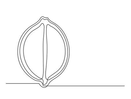 Continuous one line lemon halves isolated on white background. Simple citrus silhouette. Hand drawn lemon outline. Vector illustrationのイラスト素材