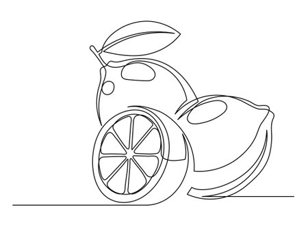 Continuous one line whole and halves lemons with leaf isolated on white background. Simple citrus silhouette. Hand drawn lemon outline. Vector illustrationのイラスト素材