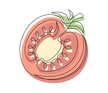 Red tomato halves contour line isolated on white background. Simple vegetable silhouette. Hand drawn tomato outline. Vector illustrationのイラスト素材