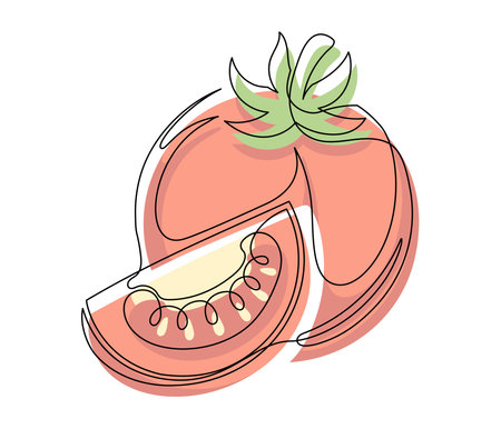 Whole and halves red tomato contour line isolated on white background. Simple vegetable silhouette. Hand drawn tomatoes outline. Vector illustrationのイラスト素材