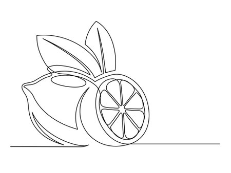 Continuous one line whole and halves lemons with leaf isolated on white background. Simple citrus silhouette. Hand drawn lemon outline. Vector illustrationのイラスト素材