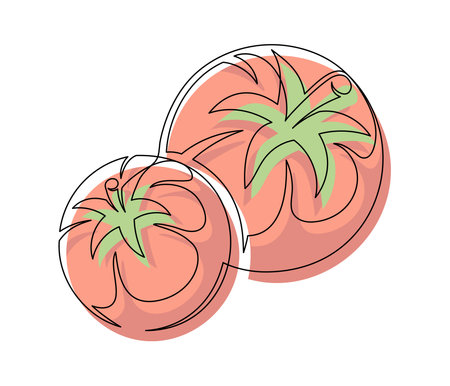 Several red tomato contour line isolated on white background. Simple vegetable silhouette. Hand drawn tomato outline. Vector illustrationのイラスト素材