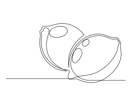 Continuous one line several lemons isolated on white background. Simple silhouette of citrus fruits. Hand drawn outline of lemons. Vector illustrationのイラスト素材