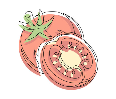 Whole and halves red tomato contour line isolated on white background. Simple vegetable silhouette. Hand drawn tomatoes outline. Vector illustrationのイラスト素材