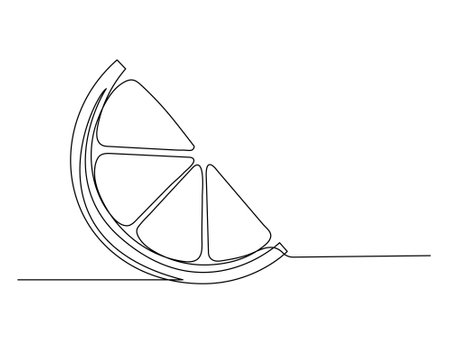 Continuous one line lemon slice isolated on white background. Simple citrus silhouette. Hand drawn lemon outline. Vector illustrationのイラスト素材