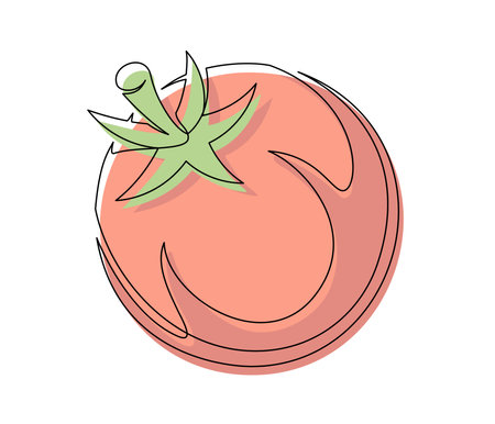 Red tomato contour line isolated on white background. Simple vegetable silhouette. Hand drawn tomato outline. Vector illustrationのイラスト素材