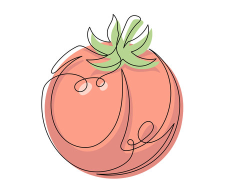 Red tomato contour line isolated on white background. Simple vegetable silhouette. Hand drawn tomato outline. Vector illustrationのイラスト素材