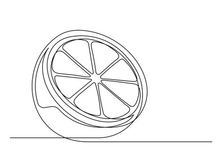 Continuous one line lemon halves isolated on white background. Simple citrus silhouette. Hand drawn lemon outline. Vector illustrationのイラスト素材