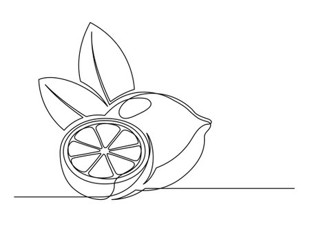 Continuous one line whole and halves lemons with leaf isolated on white background. Simple citrus silhouette. Hand drawn lemon outline. Vector illustrationのイラスト素材