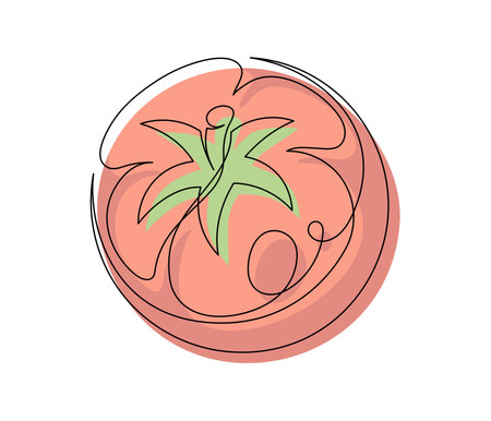 Red tomato contour line isolated on white background. Simple vegetable silhouette. Hand drawn tomato outline. Vector illustrationのイラスト素材