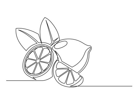 Continuous one line whole and halves lemons with leaf isolated on white background. Simple citrus silhouette. Hand drawn lemon outline. Vector illustrationのイラスト素材