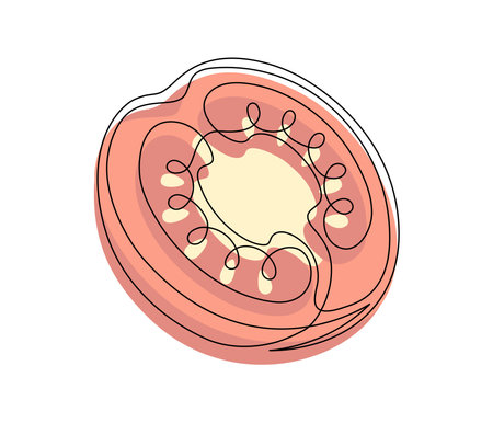 Red tomato halves contour line isolated on white background. Simple vegetable silhouette. Hand drawn tomato outline. Vector illustrationのイラスト素材