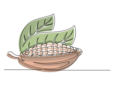Continuous one line colorful cocoa beans branch with leaves isolated on white background. Simple vegetable silhouette. Hand drawn cocoa beans branch outline. Vector illustrationのイラスト素材