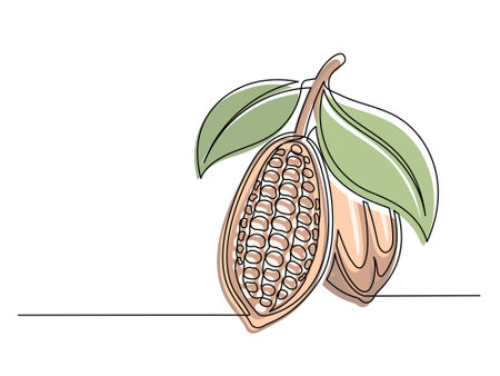 Continuous one line colorful cocoa beans branch with leaves isolated on white background. Simple vegetable silhouette. Hand drawn cocoa beans branch outline. Vector illustrationのイラスト素材