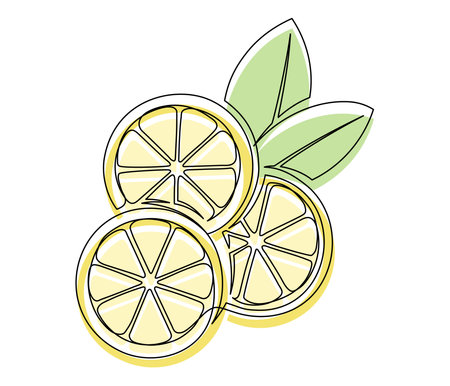 Whole and halves yellow lemons with leaf isolated on white background. Simple citrus silhouette. Hand drawn lemon outline. Vector illustrationのイラスト素材