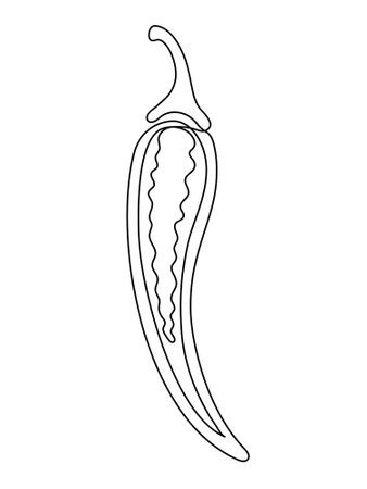 Chili pepper in section line isolated on white background. Simple silhouette of vegetable. Hand drawn chili pepper outline. Vector illustrationのイラスト素材