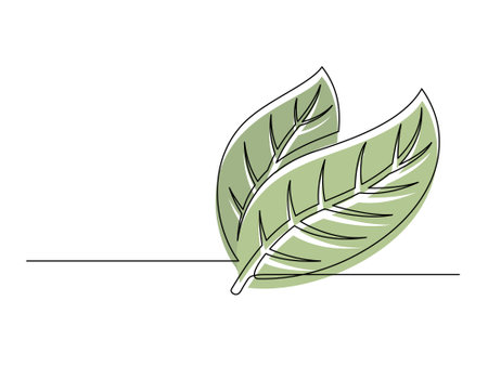 Continuous one line green cocoa leaves isolated on white background. Simple vegetable silhouette. Hand drawn cocoa leaves outline. Vector illustrationのイラスト素材