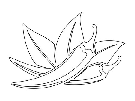 Chili peppers with leaves line isolated on white background. Simple vegetable silhouette. Hand drawn chili peppers outline. Vector illustrationのイラスト素材
