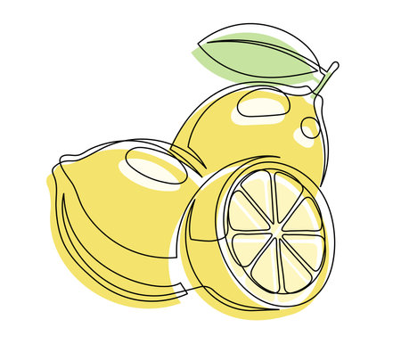 Whole and halves yellow lemons with leaf isolated on white background. Simple citrus silhouette. Hand drawn lemon outline. Vector illustrationのイラスト素材