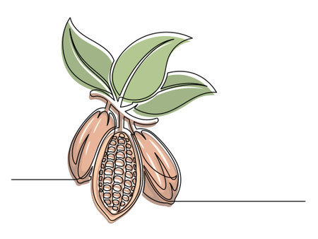 Continuous one line colorful cocoa beans branch with leaves isolated on white background. Simple vegetable silhouette. Hand drawn cocoa beans branch outline. Vector illustrationのイラスト素材