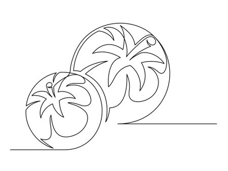 Continuous one line several tomato isolated on white background. Simple vegetable silhouette. Hand drawn tomato outline. Vector illustrationのイラスト素材