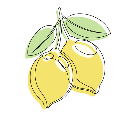 Yellow lemons with leaves isolated on white background. Simple citrus silhouette. Hand drawn lemons outline. Vector illustrationのイラスト素材
