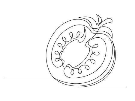 Continuous one line tomato halves isolated on white background. Simple vegetable silhouette. Hand drawn tomato outline. Vector illustrationのイラスト素材