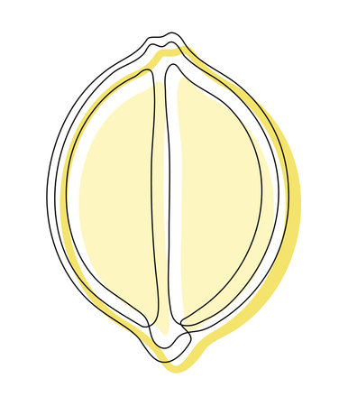Yellow lemon halves isolated on white background. Simple citrus silhouette. Hand drawn lemon outline. Vector illustrationのイラスト素材