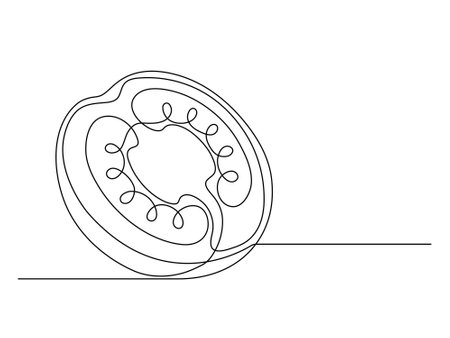 Continuous one line tomato halves isolated on white background. Simple vegetable silhouette. Hand drawn tomato outline. Vector illustrationのイラスト素材
