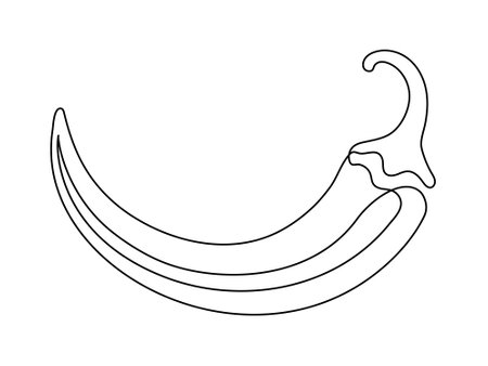 Chili pepper line isolated on white background. Simple vegetable silhouette. Hand drawn chili pepper outline. Vector illustrationのイラスト素材