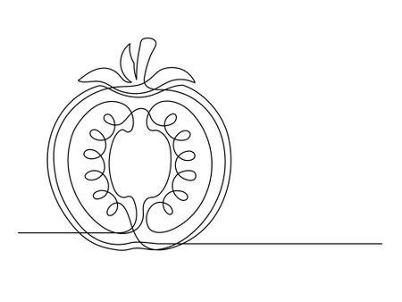 Continuous one line tomato halves isolated on white background. Simple vegetable silhouette. Hand drawn tomato outline. Vector illustrationのイラスト素材