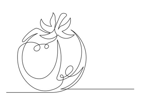Continuous one line tomato isolated on white background. Simple vegetable silhouette. Hand drawn tomato outline. Vector illustrationのイラスト素材